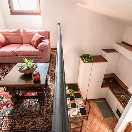 Cozy - Endine *
